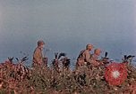 Image of 1st Marine Regiment Naha Okinawa Ryukyu Islands, 1945, second 45 stock footage video 65675052913