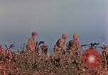 Image of 1st Marine Regiment Naha Okinawa Ryukyu Islands, 1945, second 46 stock footage video 65675052913