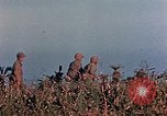 Image of 1st Marine Regiment Naha Okinawa Ryukyu Islands, 1945, second 50 stock footage video 65675052913