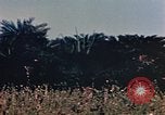 Image of 1st Marine Regiment Naha Okinawa Ryukyu Islands, 1945, second 52 stock footage video 65675052913