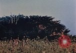 Image of 1st Marine Regiment Naha Okinawa Ryukyu Islands, 1945, second 53 stock footage video 65675052913