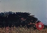 Image of 1st Marine Regiment Naha Okinawa Ryukyu Islands, 1945, second 55 stock footage video 65675052913