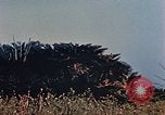 Image of 1st Marine Regiment Naha Okinawa Ryukyu Islands, 1945, second 56 stock footage video 65675052913