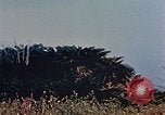 Image of 1st Marine Regiment Naha Okinawa Ryukyu Islands, 1945, second 59 stock footage video 65675052913