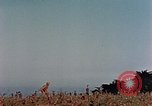 Image of 1st Marine Regiment Naha Okinawa Ryukyu Islands, 1945, second 60 stock footage video 65675052913