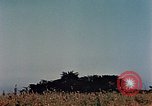 Image of 1st Marine Regiment Naha Okinawa Ryukyu Islands, 1945, second 62 stock footage video 65675052913