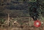 Standbild 5 Marine-Regiment-Schlacht auf Okinawa Okinawa-Ryukyu-Inseln, 1945, aus Sekunde 35 historischem Filmmaterial Videoclip 65675052917