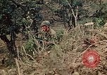 Standbild 5 Marine-Regiment-Schlacht auf Okinawa Okinawa-Ryukyu-Inseln, 1945, aus Sekunde 37 historischem Filmmaterial Videoclip 65675052917