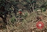Standbild 5 Marine-Regiment-Schlacht auf Okinawa Okinawa-Ryukyu-Inseln, 1945, aus Sekunde 39 historischem Filmmaterial Videoclip 65675052917