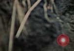 Image of 5th Marine Regiment Okinawa Ryukyu Islands, 1945, second 44 stock footage video 65675052920