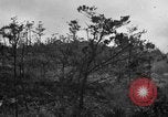 Image of 7th Marine Division Okinawa Ryukyu Islands, 1945, second 1 stock footage video 65675052921