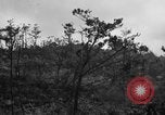 Image of 7th Marine Division Okinawa Ryukyu Islands, 1945, second 3 stock footage video 65675052921