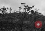 Image of 7th Marine Division Okinawa Ryukyu Islands, 1945, second 4 stock footage video 65675052921