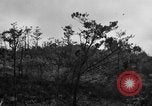 Image of 7th Marine Division Okinawa Ryukyu Islands, 1945, second 5 stock footage video 65675052921