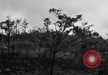Image of 7th Marine Division Okinawa Ryukyu Islands, 1945, second 6 stock footage video 65675052921