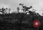 Image of 7th Marine Division Okinawa Ryukyu Islands, 1945, second 7 stock footage video 65675052921