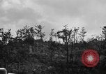 Image of 7th Marine Division Okinawa Ryukyu Islands, 1945, second 8 stock footage video 65675052921