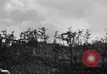 Image of 7th Marine Division Okinawa Ryukyu Islands, 1945, second 9 stock footage video 65675052921