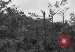 Image of 7th Marine Division Okinawa Ryukyu Islands, 1945, second 23 stock footage video 65675052921