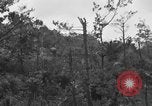 Image of 7th Marine Division Okinawa Ryukyu Islands, 1945, second 24 stock footage video 65675052921