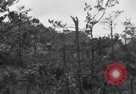 Image of 7th Marine Division Okinawa Ryukyu Islands, 1945, second 25 stock footage video 65675052921
