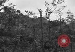 Image of 7th Marine Division Okinawa Ryukyu Islands, 1945, second 26 stock footage video 65675052921
