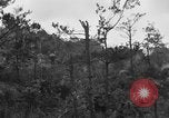 Image of 7th Marine Division Okinawa Ryukyu Islands, 1945, second 27 stock footage video 65675052921
