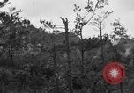 Image of 7th Marine Division Okinawa Ryukyu Islands, 1945, second 28 stock footage video 65675052921