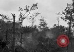 Image of 7th Marine Division Okinawa Ryukyu Islands, 1945, second 29 stock footage video 65675052921