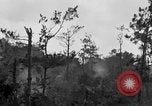 Image of 7th Marine Division Okinawa Ryukyu Islands, 1945, second 30 stock footage video 65675052921