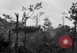 Image of 7th Marine Division Okinawa Ryukyu Islands, 1945, second 31 stock footage video 65675052921
