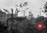 Image of 7th Marine Division Okinawa Ryukyu Islands, 1945, second 32 stock footage video 65675052921