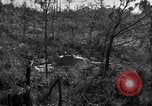 Image of 7th Marine Division Okinawa Ryukyu Islands, 1945, second 42 stock footage video 65675052921