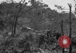 Image of 7th Marine Division Okinawa Ryukyu Islands, 1945, second 45 stock footage video 65675052921