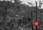 Image of 7th Marine Division Okinawa Ryukyu Islands, 1945, second 46 stock footage video 65675052921