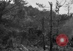 Image of 7th Marine Division Okinawa Ryukyu Islands, 1945, second 48 stock footage video 65675052921