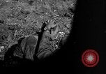 Image of 7th Marine Division Okinawa Ryukyu Islands, 1945, second 52 stock footage video 65675052921