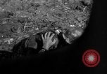 Image of 7th Marine Division Okinawa Ryukyu Islands, 1945, second 55 stock footage video 65675052921