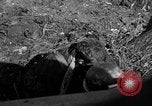 Image of 7th Marine Division Okinawa Ryukyu Islands, 1945, second 56 stock footage video 65675052921