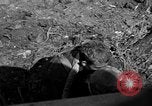 Image of 7th Marine Division Okinawa Ryukyu Islands, 1945, second 57 stock footage video 65675052921