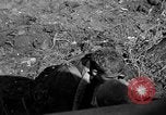 Image of 7th Marine Division Okinawa Ryukyu Islands, 1945, second 58 stock footage video 65675052921