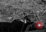 Image of 7th Marine Division Okinawa Ryukyu Islands, 1945, second 59 stock footage video 65675052921
