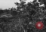 Image 7e Division maritime Okinawa îles Ryukyu, 1945, de la seconde 19 séquences d'archives historiques vidéo 65675052922