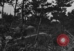 Image 7e Division maritime Okinawa îles Ryukyu, 1945, de la seconde 22 séquences d'archives historiques vidéo 65675052922