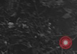 Image of 7th Marine Division Okinawa Ryukyu Islands, 1945, second 13 stock footage video 65675052923