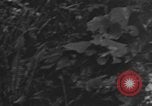 Image of 7th Marine Division Okinawa Ryukyu Islands, 1945, second 14 stock footage video 65675052923