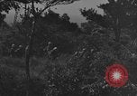 Image of 7th Marine Division Okinawa Ryukyu Islands, 1945, second 21 stock footage video 65675052923