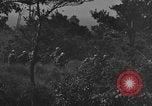Image of 7th Marine Division Okinawa Ryukyu Islands, 1945, second 22 stock footage video 65675052923