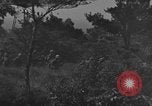 Image of 7th Marine Division Okinawa Ryukyu Islands, 1945, second 23 stock footage video 65675052923