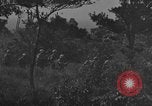 Image of 7th Marine Division Okinawa Ryukyu Islands, 1945, second 24 stock footage video 65675052923